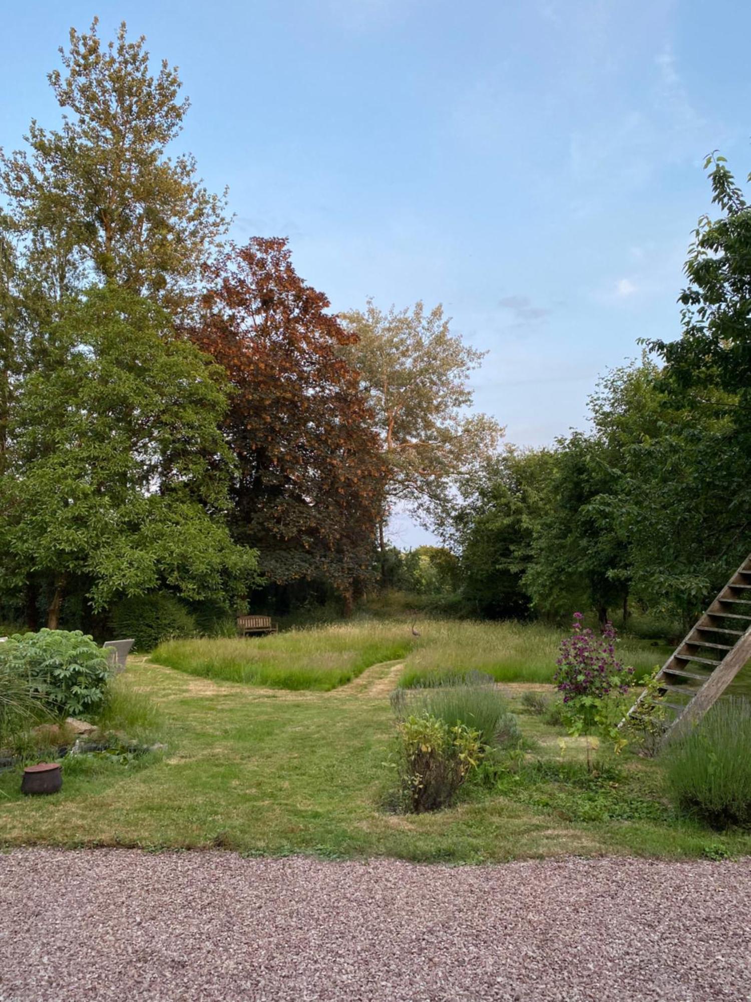 Bed and Breakfast L'Hôtié de Brocéliande Paimpont Exterior foto