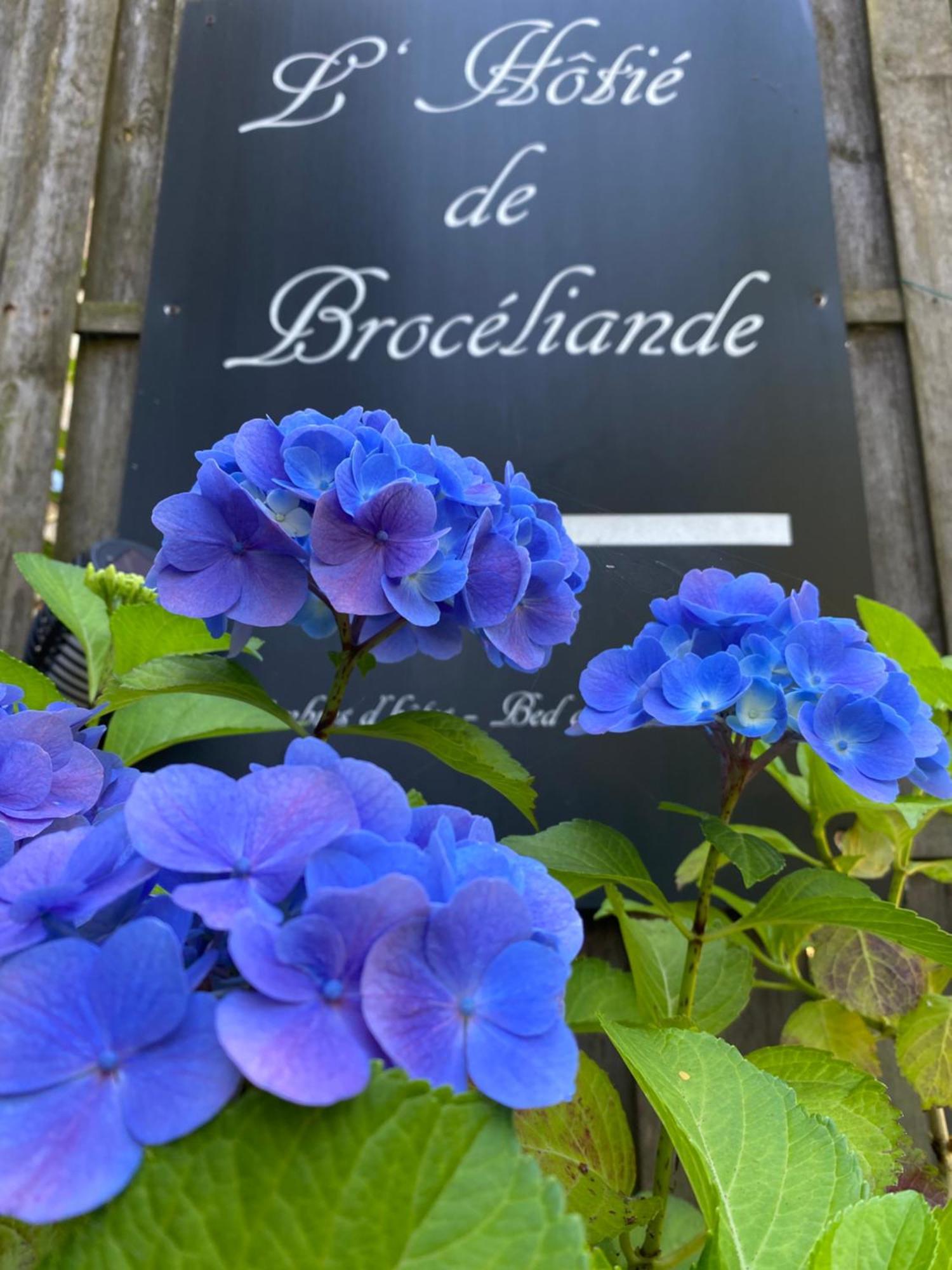Bed and Breakfast L'Hôtié de Brocéliande Paimpont Exterior foto