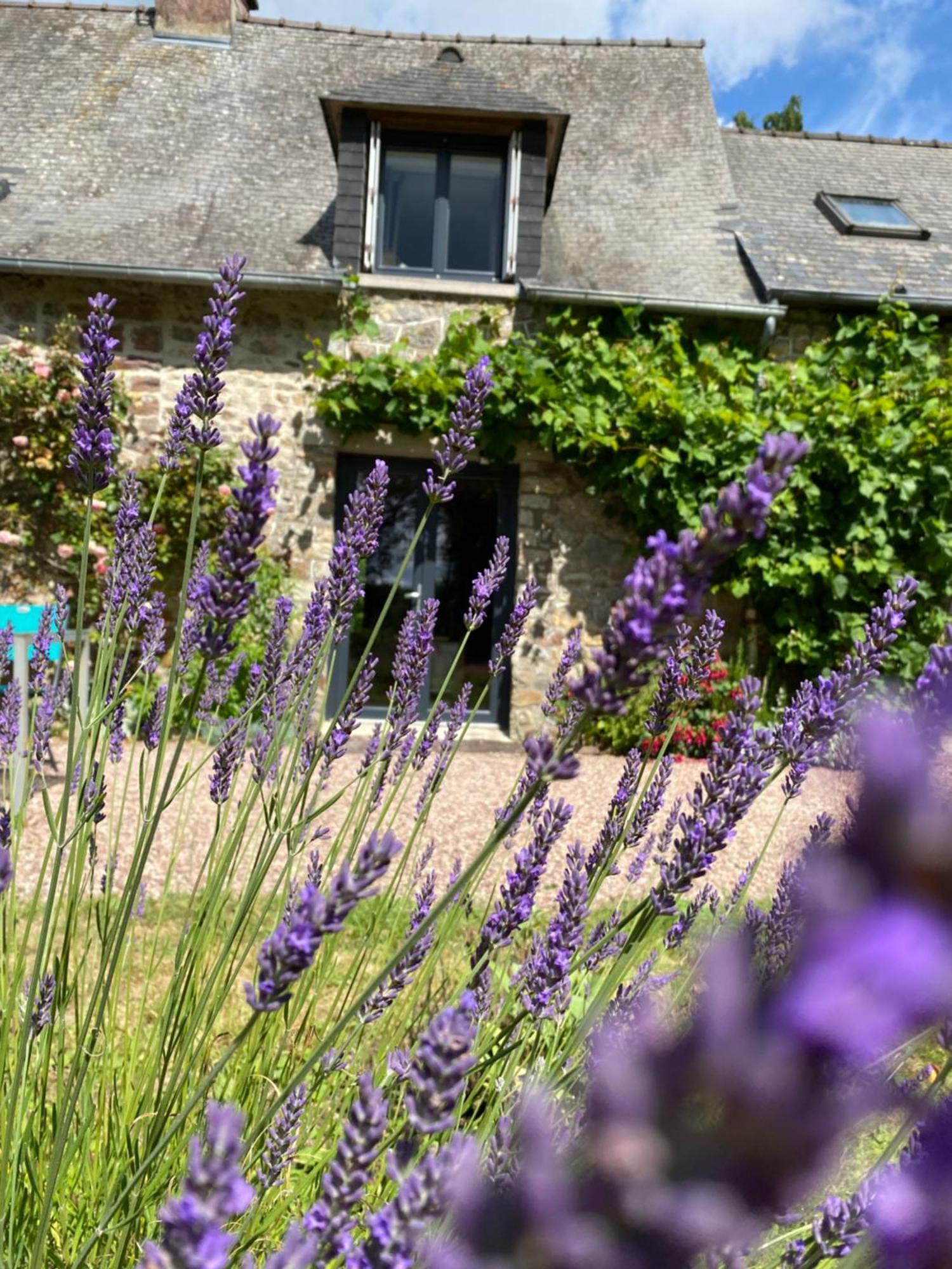Bed and Breakfast L'Hôtié de Brocéliande Paimpont Exterior foto